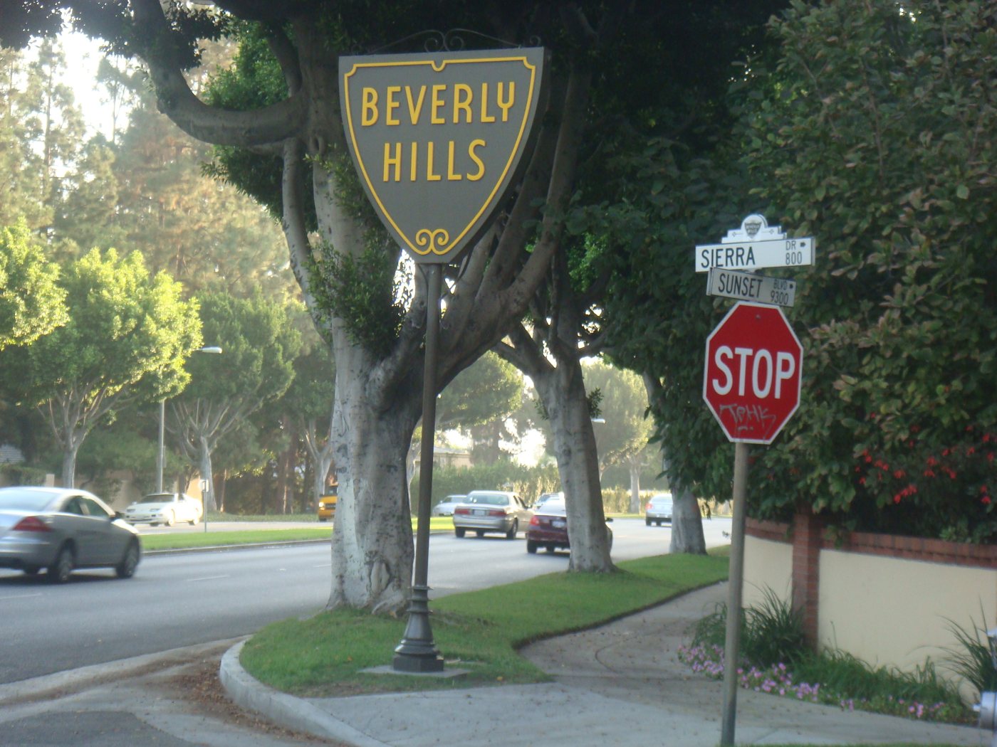 Fifty-two years from the specification to the crisis: Beverly Hills wrote its street trees down